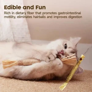kf-Se8f28835d1c745ef8e36c8115fd8ac2ba Juguete Ecologico de Catnip